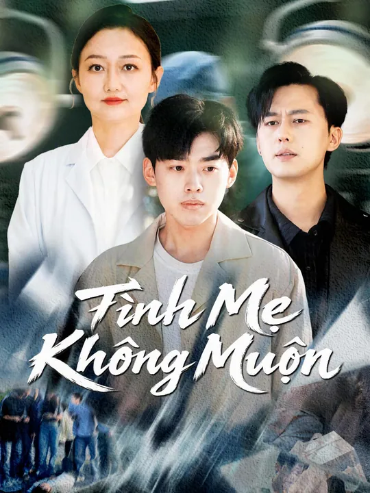 Tình Mẹ Không Muộn